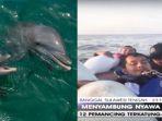 selamatkan-12-pemancing-di-tengah-laut-ini-7-fakta-lumba-lumba-yang-jarang-diketahui.jpg