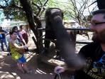 selfie-gajah_20160224_114506.jpg