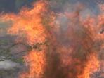 semak-semak-terbakar_20150916_152334.jpg