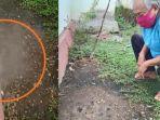 semburan-gas-misterius-dan-warga-memperlihatkan-lokasi.jpg