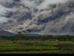 semeru-di-jawa-timur-meletus-dan-mengh.jpg