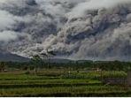 semeru-meletus-333.jpg