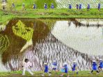seni-sawah-jepang-nih2_20160615_190745.jpg