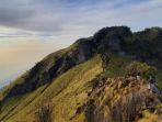 seno-naik-ke-merbabu-4.jpg
