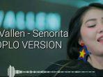 senorita-versi-koplo-dari-via-vallen.jpg