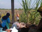 seorang-ibu-melahirkan-di-gubuk-sawah.jpg