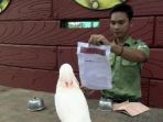 seorang-keeper_20161217_162920.jpg