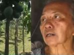 seorang-nenek-dilaporkan-polisi-karena-mencuri-pepaya-di-kebun-tetangganya_20180324_112649.jpg