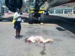 seorang-petugas-bandara_20180315_202032.jpg