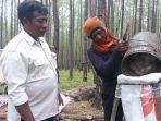 seorang-staf-pt-thl-sedang-memonitoring-kegiatan-penyadapan-dan-pengumpulan.jpg