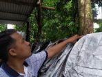 seorang-warga-di-rt-3-rw-3-desa-pageraji-kecamatan-cilongok.jpg