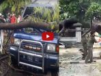 seorang-warga-selamat-di-dalam-mobilnya-yang-tertimpa-pohon-di-pulogadung_20180323_092835.jpg