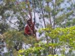 seorang-warga_20161018_210037.jpg