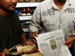 sepatu-buluk-harga-sampai-61-miliar.jpg