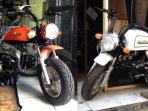 sepeda-motor-gazgas-mongkey-dan-gorilla_20160701_091311.jpg