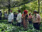 serahkan-100-ribu-bibit-pala-mentan-syl-kita-kuasai-pasar-dunia.jpg