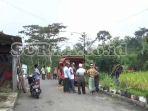 serangan-tawon-sliring-di-magetan.jpg