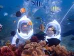 serangan_20150908_170115.jpg