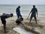 sesosok-mayat-tanpa-kepala-dan-tertimbun-pasir-di-pantai-pulai-penambun-d.jpg