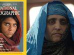 sharbat-gula-wanita-afghanistan-yang-viral.jpg