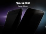 sharp_20180126_141107.jpg