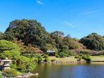shinjuku-gyoen.jpg