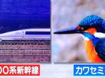 shinkansen-series-500_20181015_095215.jpg