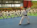 shotokan-coaching-clinic_ok_04.jpg