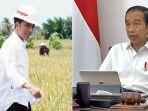 siapkan-food-estate-ratusan-ribu-hektare-ini-cara-jokowi-antisipasi-krisis-pangan-akibat-pandemi.jpg