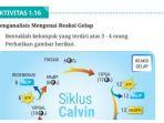 simak-kunci-jawaban-mata-pelajaran-biologi-kelas-12-smama-halaman-38-kurikulum-merdeka.jpg