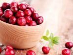 simak-manfaat-cranberry-untuk-kesehatan.jpg