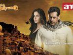 sinopsis-film-ek-tha-tiger.jpg