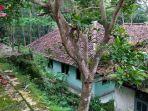 situasi-kampung-mati-di-dusun-cimeong-desa-cilayung-kecamatan-ciwaru-1.jpg