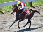 smaratungga-juara-kelas-3-tahun-derby-1600-meter_20171224_195644.jpg