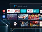 smart-tv-ok-co1.jpg