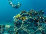 snorkeling-di-desa-wisata-pemuteran.jpg