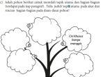 soal-halaman-134-bahasa-indonesia-kelas-7.jpg