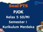 soal-pts-pjok-kelas-5-semester-1-kurikulum-merdeka-beserta-kunci-jawabannya.jpg