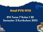 soal-uts-ipa-tema-7-kelas-1-sd.jpg