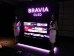 sony-bravia-oled_20170914_045853.jpg