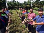 sosialisasi-teknik-budidaya-bawang-di-riau_20180322_192932.jpg