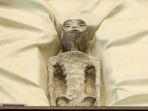 sosok-jasad-alien-dipamerkan-di-kongres-parlemen-meksiko-1234.jpg