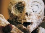 sosok-yang-awalnya-dikira-merupakan-bayi-alien_20171013_211234.jpg