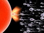 sperma_20160504_201901.jpg