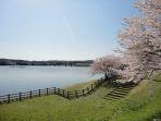 spot-instagramable-di-chiba-takataki-station-chiba.jpg