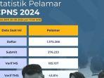 statistik-pelamar-cpns-2024-bkn-per-30-agustus-2024.jpg