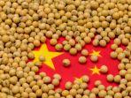 stok-kedelai-china2.jpg