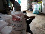 stok-pupuk-kementan-realokasi.jpg
