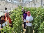 Dorong Usaha Pertanian, Nasabah Mekaar Diajak Studi Banding Budidaya Holtikultura