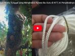 suami-diduga-pelaku-tunggal-yang-membunuh-istrinya-ini-penyebabnya_20180416_135020.jpg